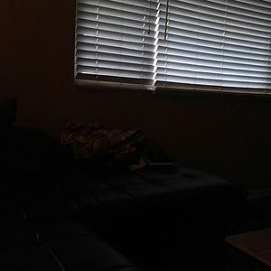 Meet your Posher, Jayne