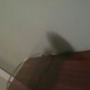 Meet your Posher, Devon