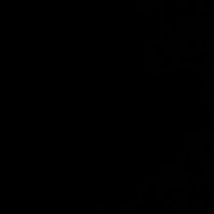 Meet your Posher, Jessie