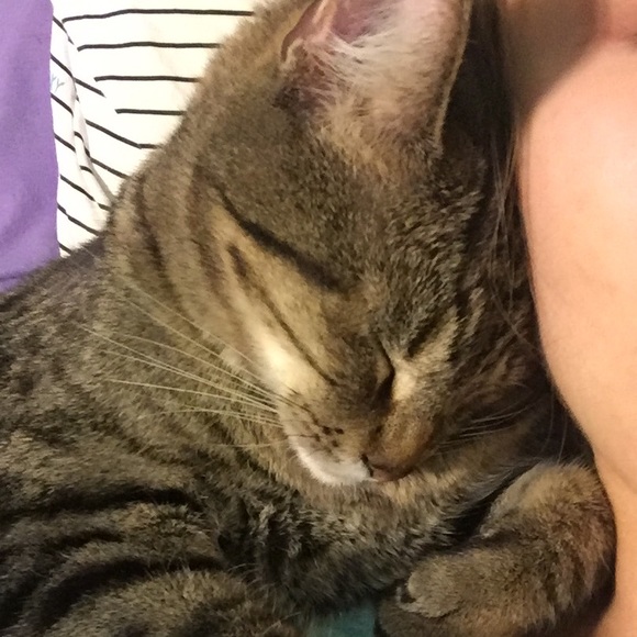 Meet Your Seller 💕 - Picture 2 of 3