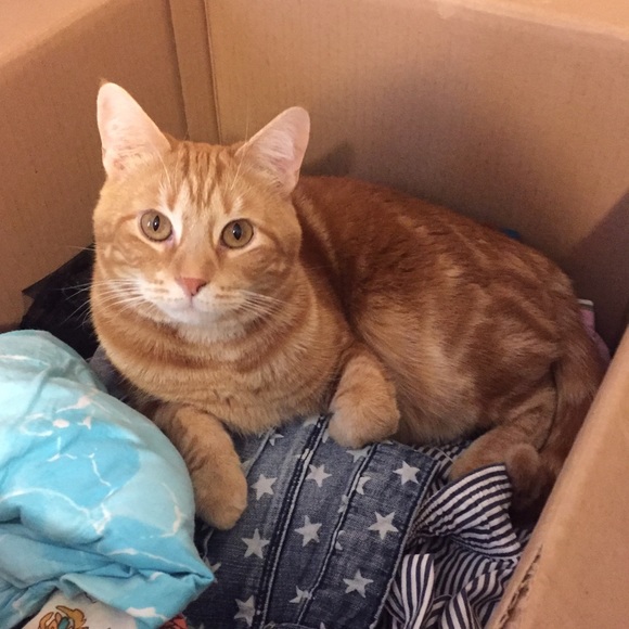 Meet Your Seller 💕 - Picture 3 of 3