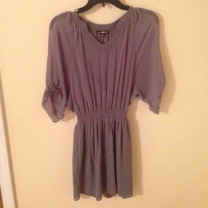Express Sheer Dress with Built in Slip