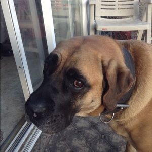 Meet your Posher, Rick