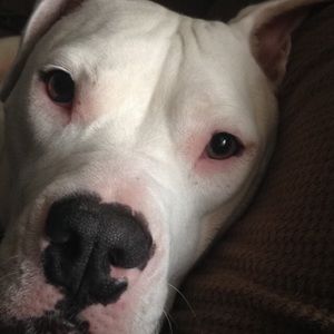 Meet your Posher, Julia