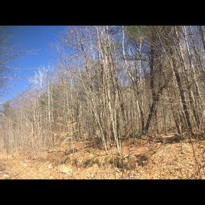 Meet your Posher, Annika