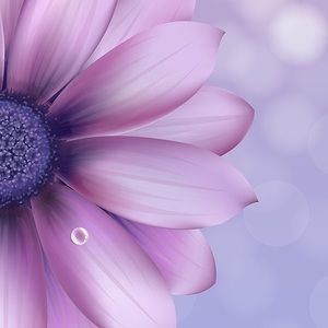 Meet your Posher, Marie