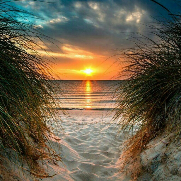 Selling My California life..