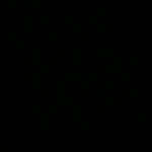 Meet your Posher, Lynne