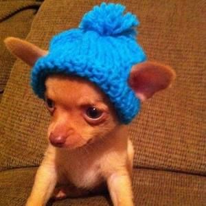 Meet your Posher, Tami