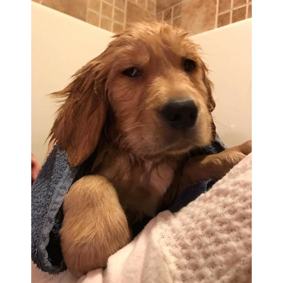 Ultra Soft Curved Hem Sweater Top - Picture 5 of 6