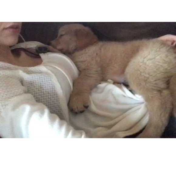 Ultra Soft Curved Hem Sweater Top - Picture 6 of 6