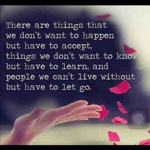 Meet your Posher, Lyle