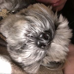 Meet your Posher, Terri