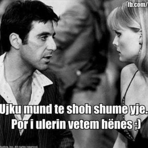 Meet your Posher, Entela