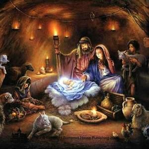 Meet your Posher, Bonnie