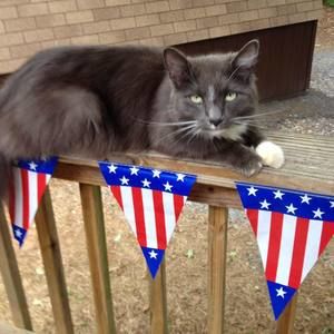 Meet your Posher, Becky