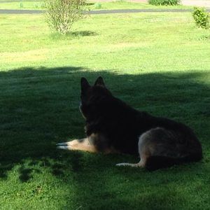 Meet your Posher, Aimee