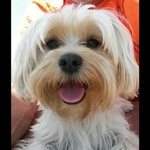 Meet your Posher, Carolyn