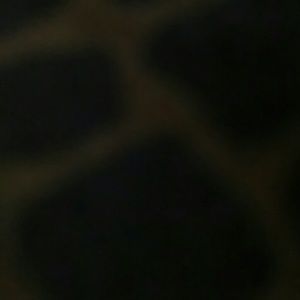 Meet your Posher, Jan