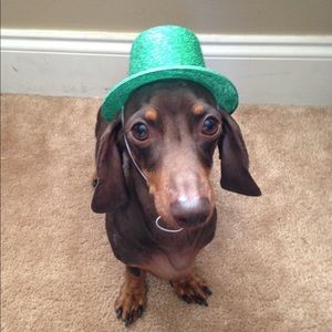 Meet your Posher, Shay