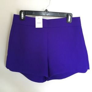 New J. Crew Factory Purple Shorts