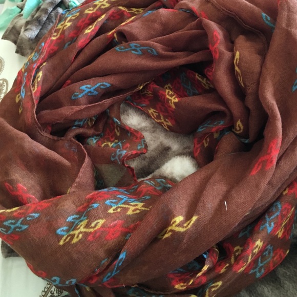 ❌❌ GONE ❌❌ - Picture 2 of 3