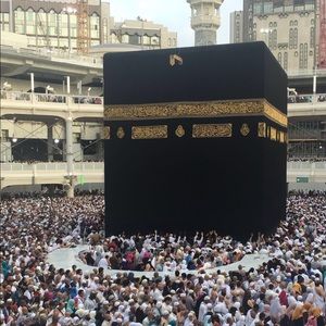 Meet your Posher, Jamila