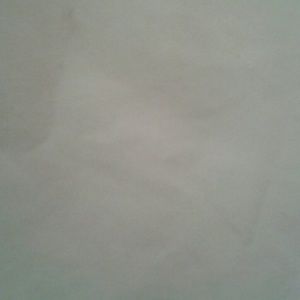 Meet your Posher, Josefa