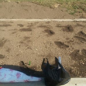 Meet your Posher, Wanda