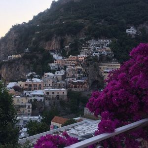 Meet your Posher, Bobo