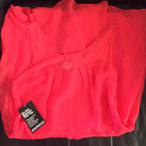 Express Flowy Dress