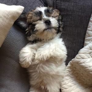 Meet your Posher, Angie