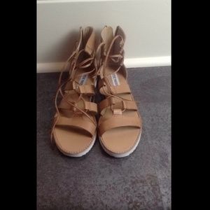 Tan Steve Madden gladiator sandals