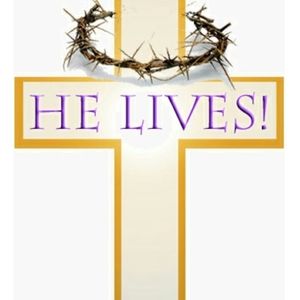 Meet your Posher, Ida