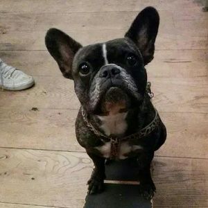 Meet your Posher, Kenneth