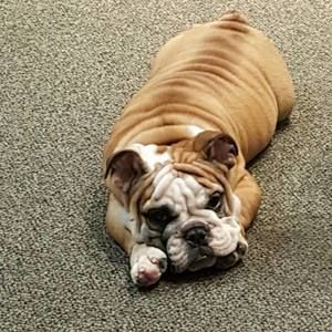 Meet your Posher, Jina