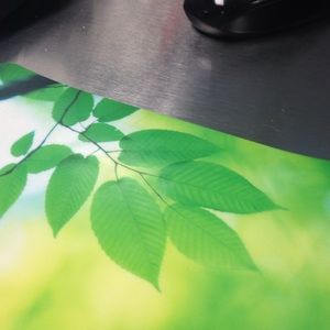 Meet your Posher, Terry