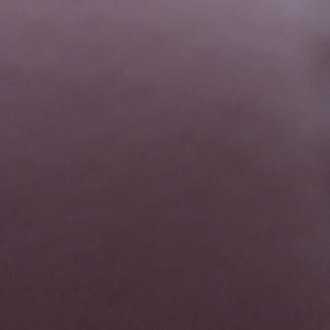 Meet your Posher, Aylen