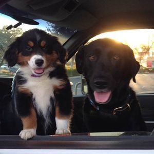 Meet your Posher, Tina