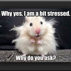 Meet your Posher, Belinda