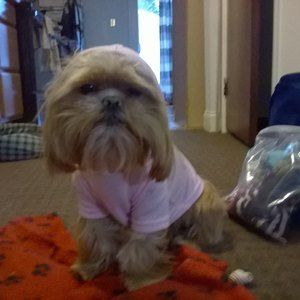 Meet your Posher, Diane