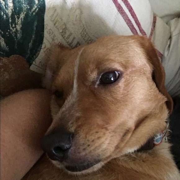 Meet your Posher, Stacy - Picture 2 of 2