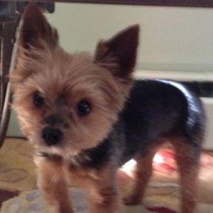 Meet your Posher, Lorrie