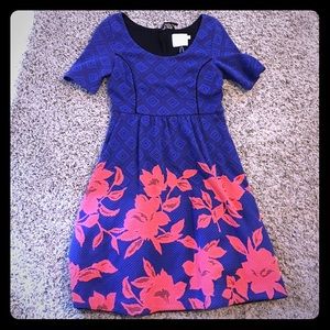 For kamchotka blushed blooms!