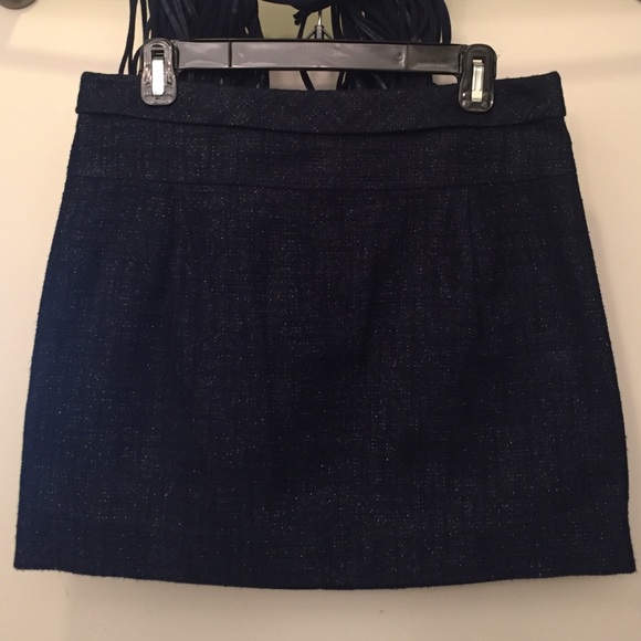 J Crew Navy Skirt w/Hint of Sparkle
