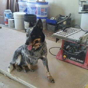 Meet your Posher, Miki