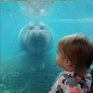 Meet your Posher, Kim