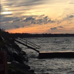 Meet your Posher, Callie