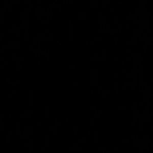 Meet your Posher, Anabel