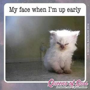 Meet your Posher, Sharon